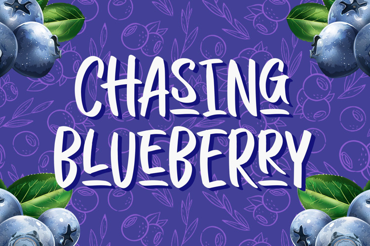 CHASING BLUEBERRY Font