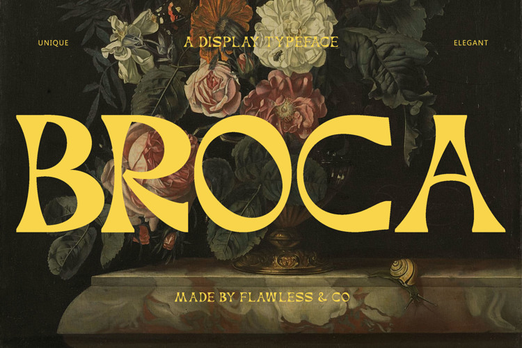 Broca Font