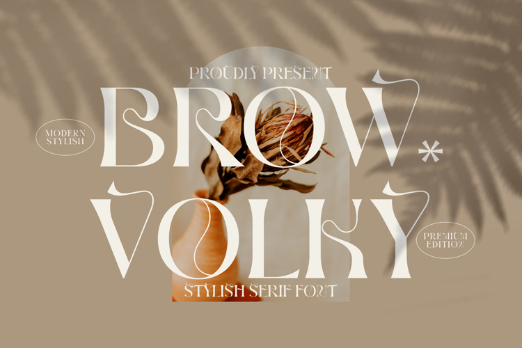 BROW VOLKY Font