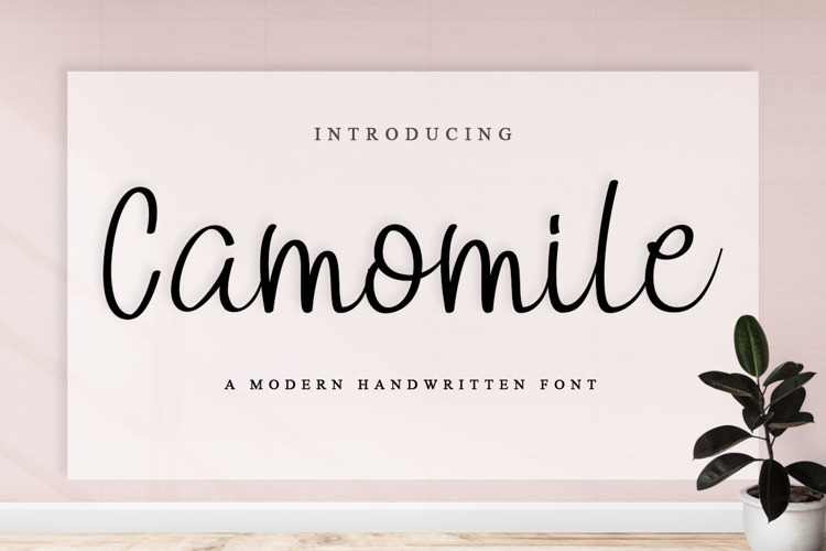 Camomile Font