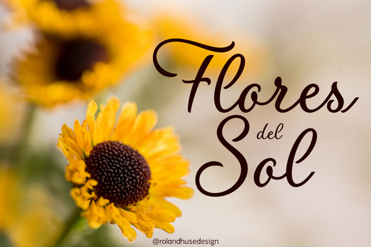 Flores del Sol Font