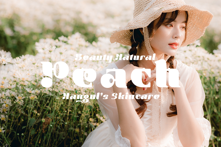 Preview of Bichaeru - Korea Font