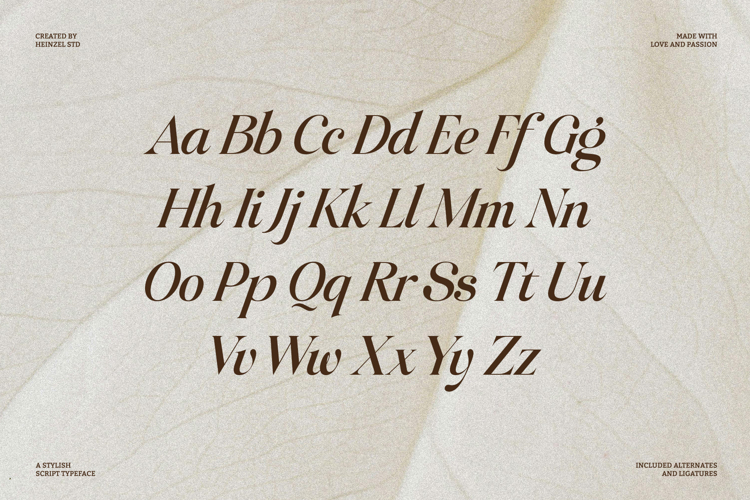 Preview of Raillouise Font