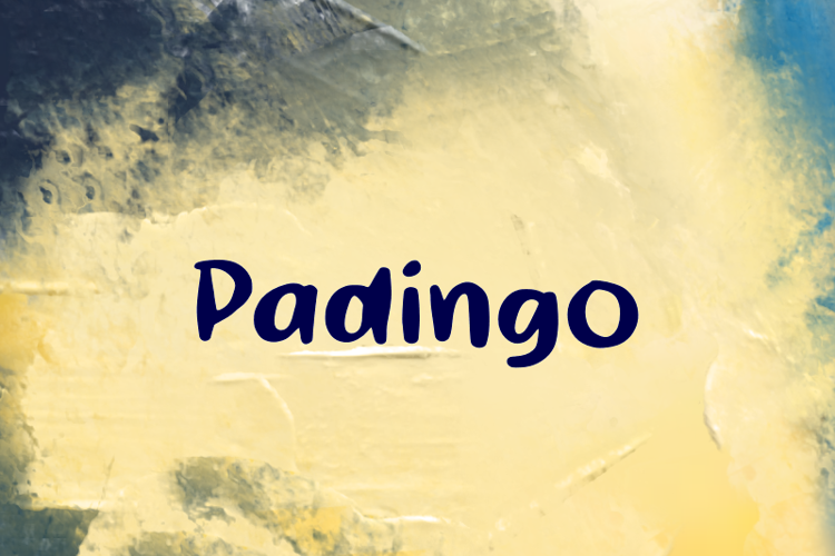 Padingo Font