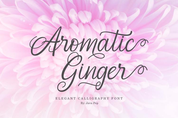 Aromatic Ginger Font