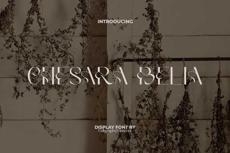 Chesara Belia Font