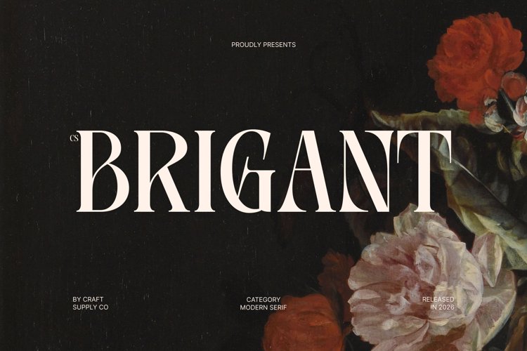 Preview of CS Brigant Font