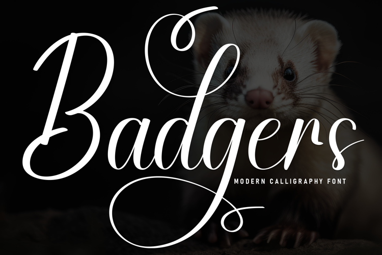 Badgers Font