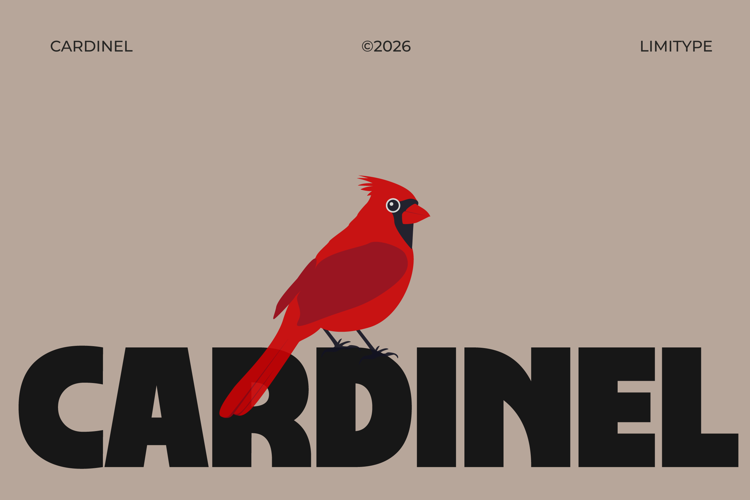 Preview of Cardinel - Bold Font