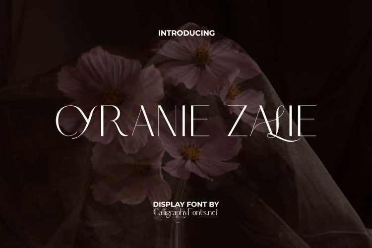 Cyranie Zalie Font