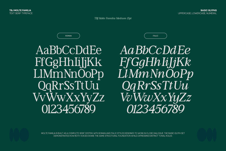 Preview of TBJ Moltefamilia Serif Font Family