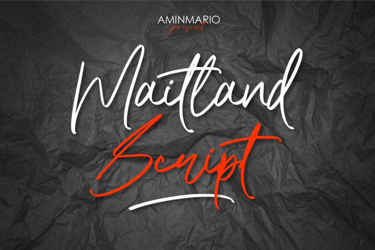 Maitland Script Font