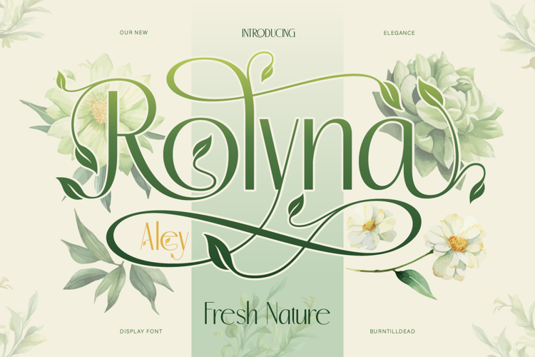 Rolyna Font