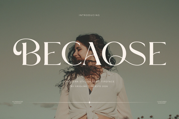 Preview of Becaose Font