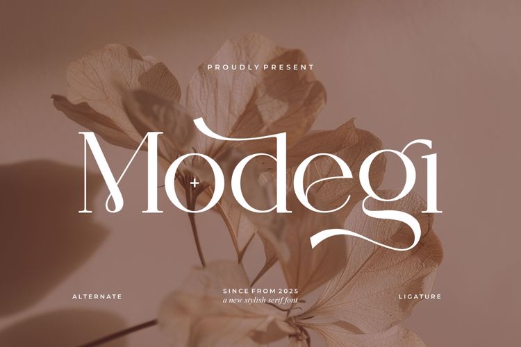 Preview of Modegi Font