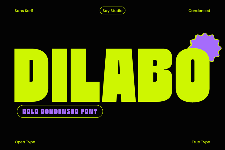 Preview of Dilabo DEMO Font