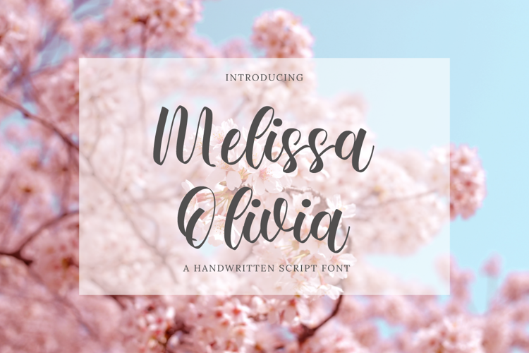 Melissa Olivia Font