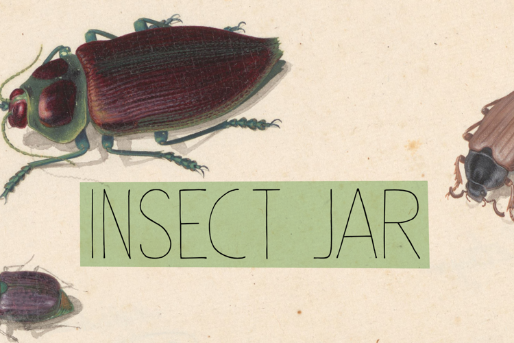 Insect Jar Font | Kitchen Table Type Foundry | FontSpace