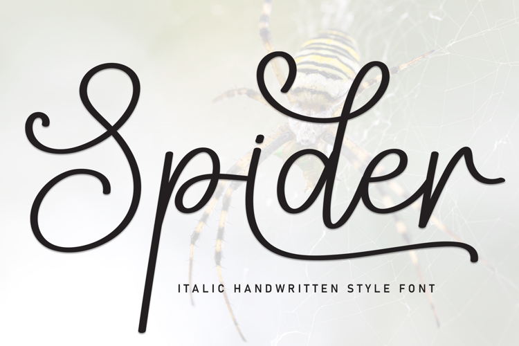 Spider Font