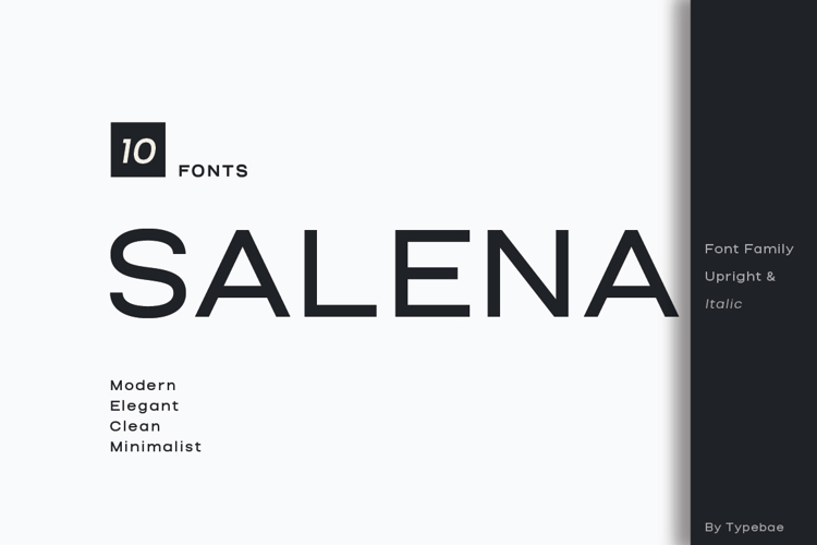 Preview of Salena Med Font