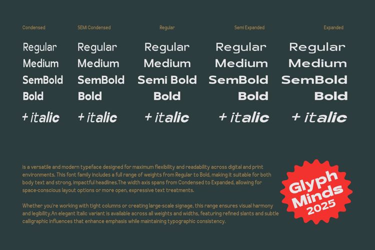 Preview of Schraft Sans Font Family