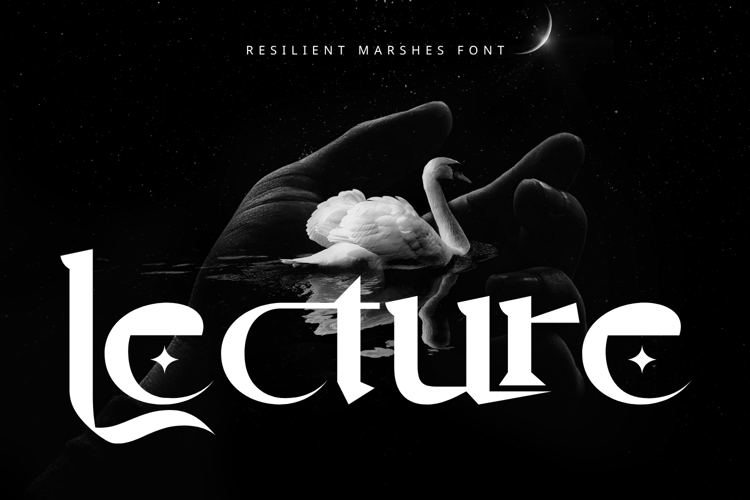 Preview of Resilient Marshes Font