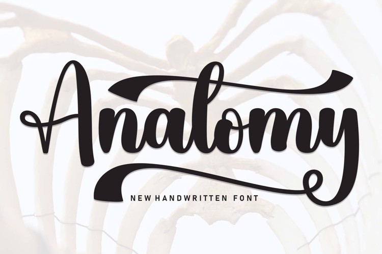 Anatomy Font