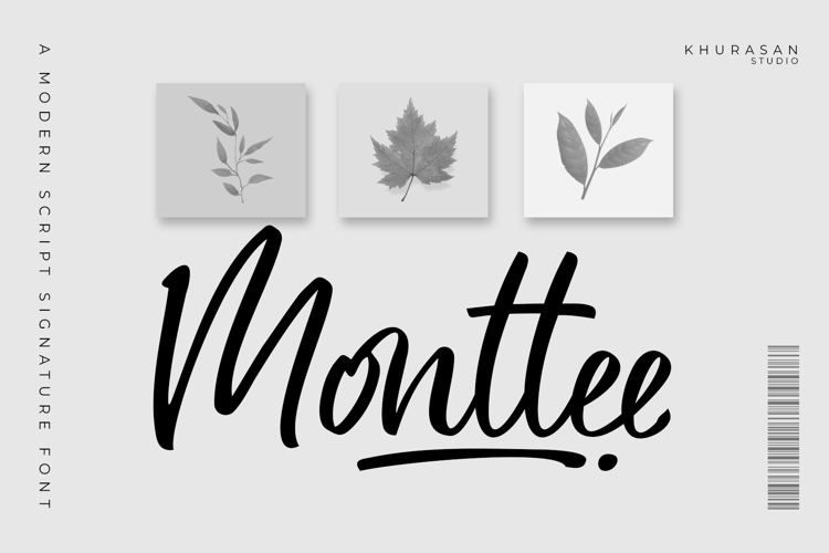 Preview of Monttee Font