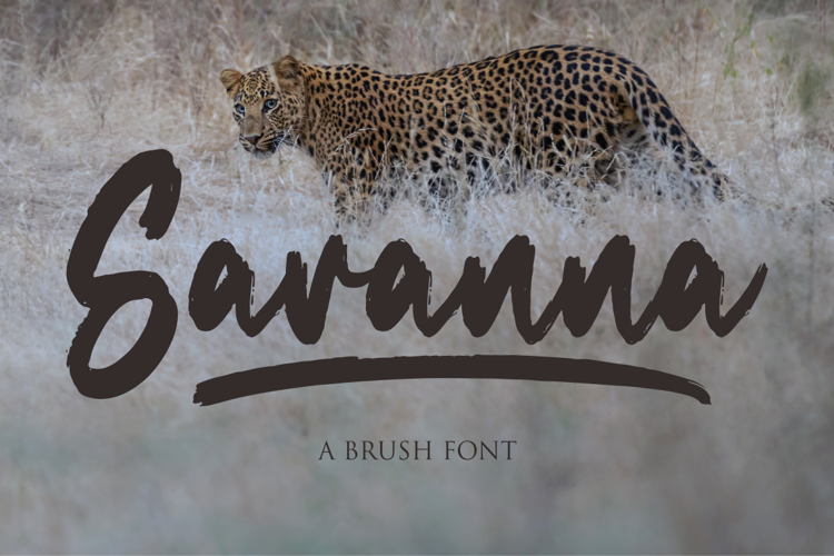 Savanna Font