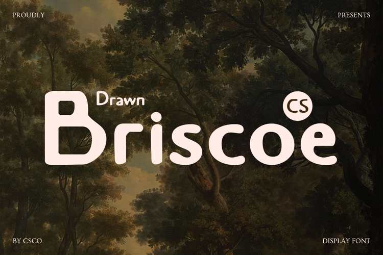 Preview of CS Briscoe Drawn Font