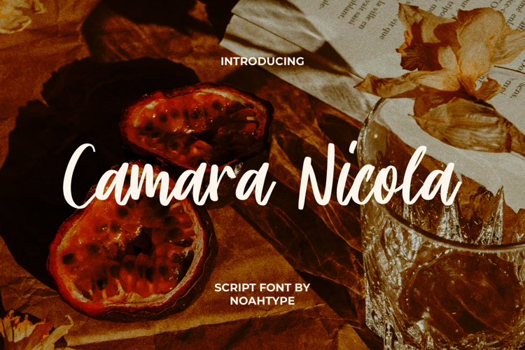 Preview of Camara Nicola Font