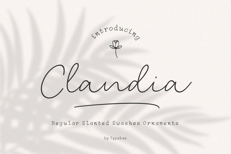 Clandia Monoline Script Font