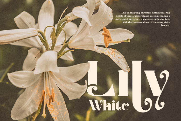 Preview of Mango Creamy Font