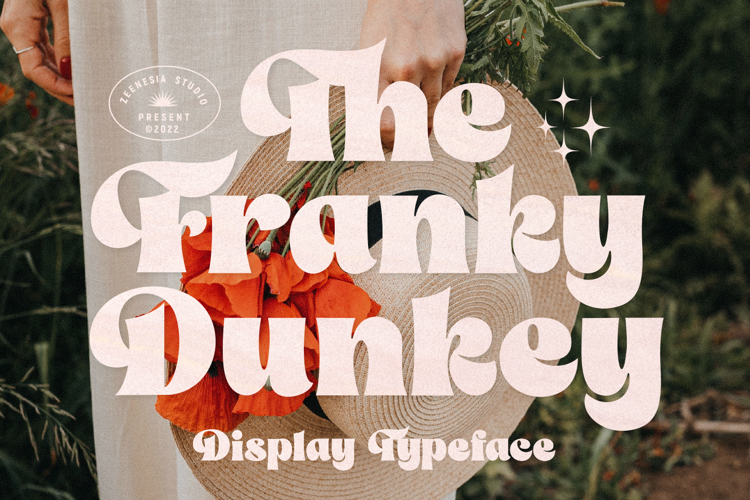 The Franky Dunkey Font