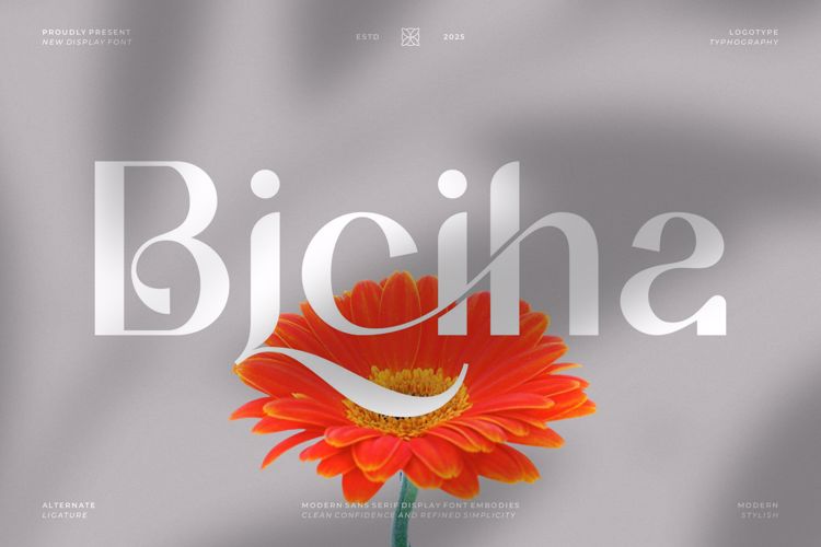Preview of Biciha Font
