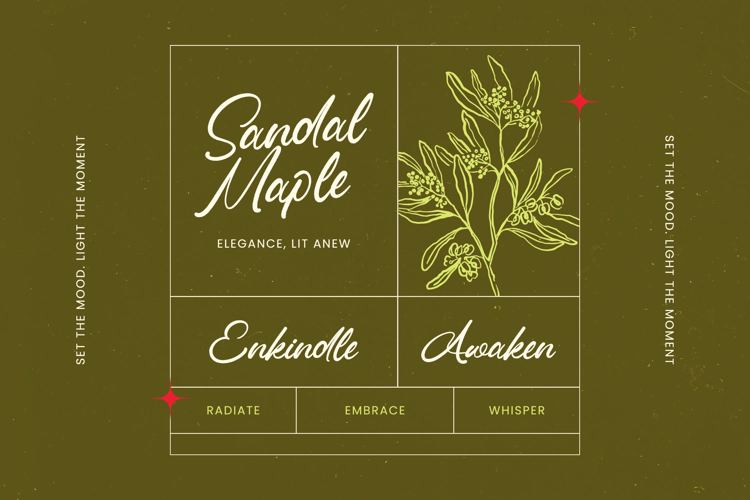 Preview of Omanik Chinta VERSION Font