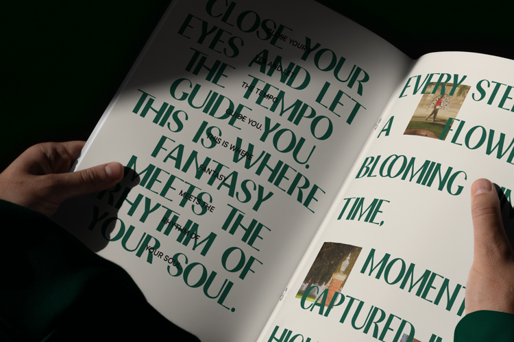 Preview of IT Weralionis Font