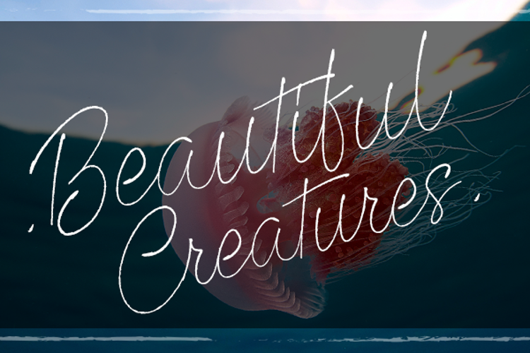 Beautiful Creatures Font