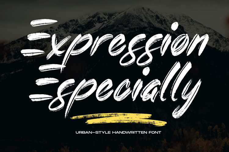 Expression Especially Font