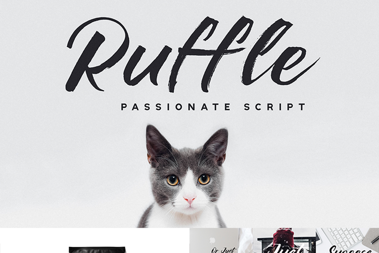 Ruffle Script Font