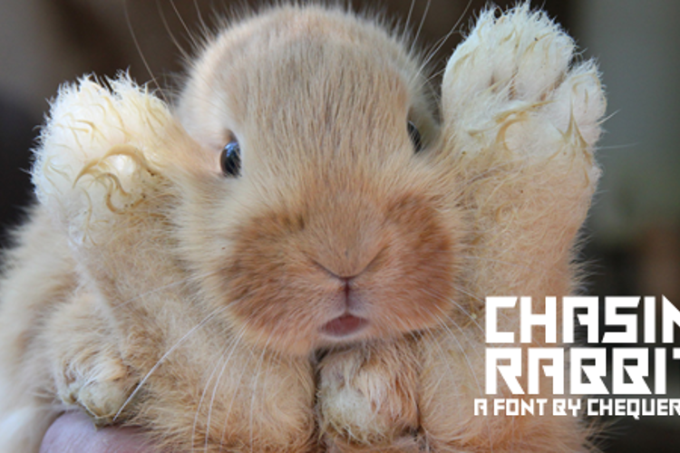 Chasing Rabbits Font