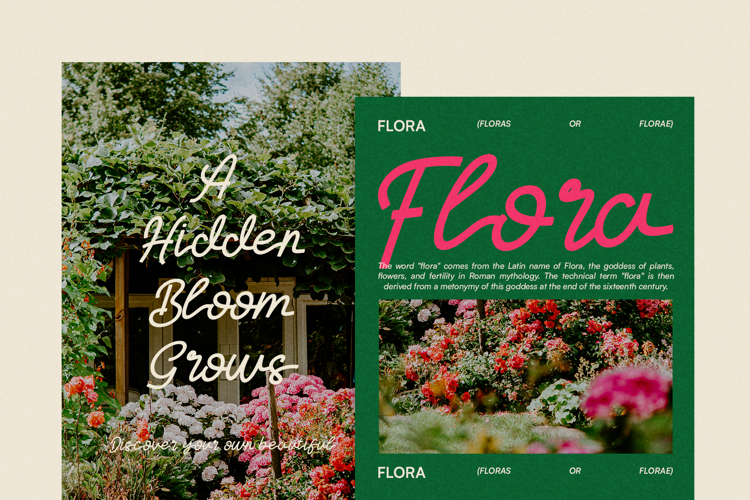 Preview of IT Selovia Font