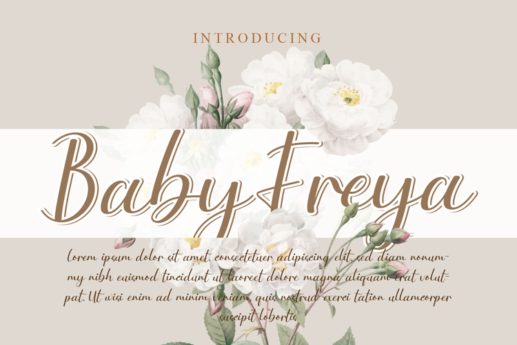 Preview of Baby Freya Font