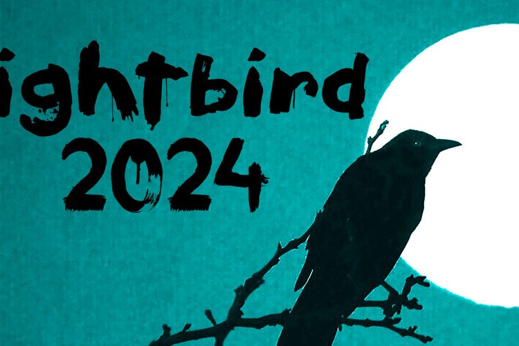 Nightbird 2024 Font