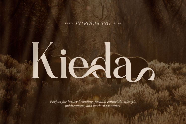 Preview of Kieda Font