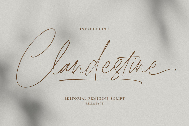 Preview of Clandestine Script Font