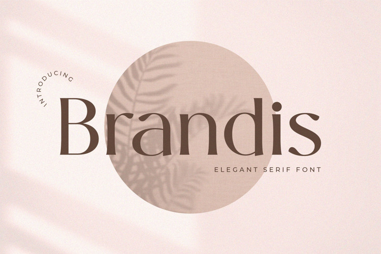 Preview of Brandis Font