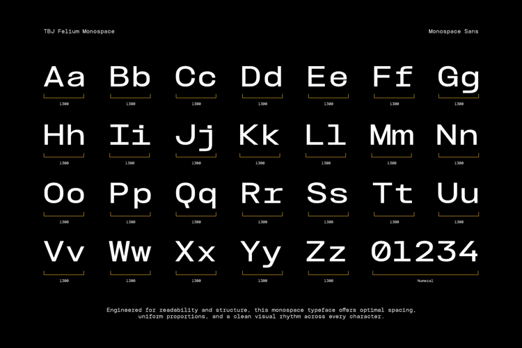 Preview of TBJ Felium Monospace Font