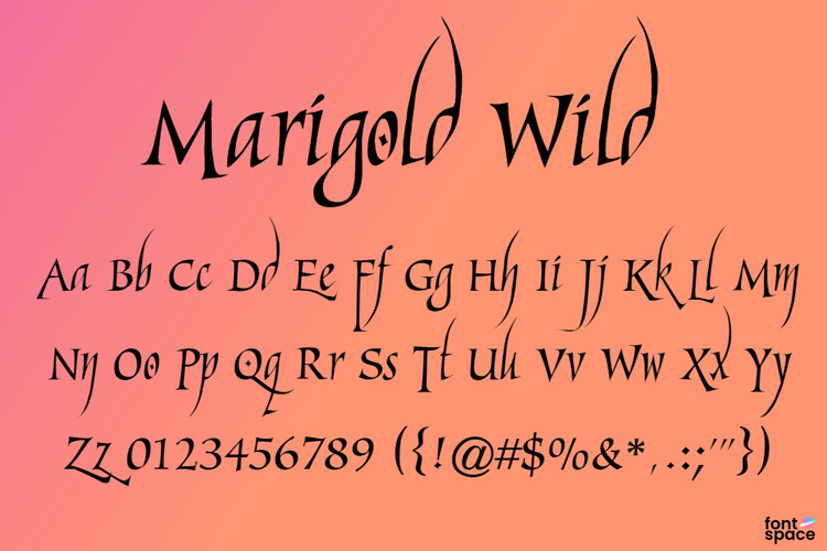 Marigold Wild Font