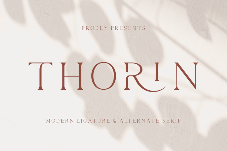 Thorin Font